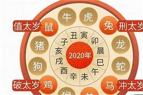 2023属虎|2023年属虎人的流年运势、每月运势详解